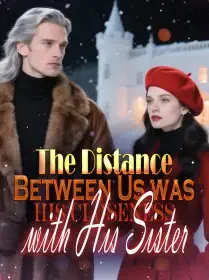 The Distance Between Us was His Closeness with His Sister Novel Cover