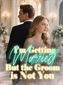 I'm Getting Married, But the Groom is Not You Novel Cover