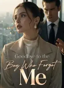 Goodbye to the Boy Who Forgot Me Novel Cover