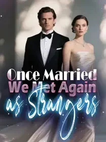 Once Married, We Met Again as Strangers Novel Cover