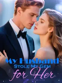 My Husband Stole My Gem for Her Novel Cover