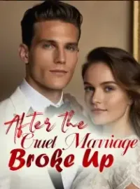 After the Cruel Marriage Broke Up Novel Cover