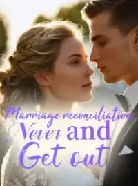 Marriage reconciliation? Never and Get out! Novel Cover