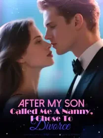 After My Son Called Me A Nanny, I Chose To Divorce Novel Cover