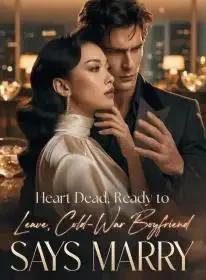Heart Dead, Ready to Leave, Cold-War Boyfriend Says Marry Novel Cover