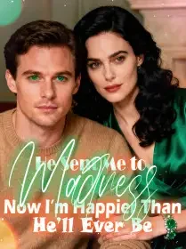 He Sent Me to Madness, Now I’m Happier Than He’ll Ever Be Novel Cover