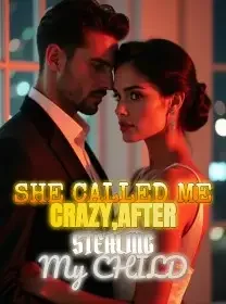 She Called Me Crazy,After Stealing My Child Novel Cover