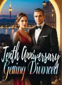 Tenth Anniversary, Getting Divorced Novel Cover