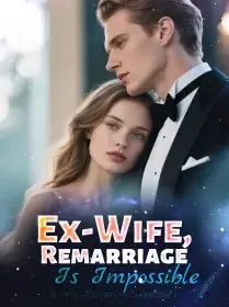 Ex-Wife, Remarriage Is Impossible Novel Cover