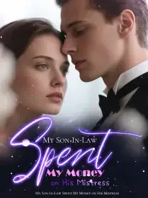 My Son-In-Law Spent My Money on His Mistress Novel Cover