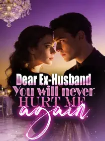 Dear Ex-Husband, You will never Hurt me again Novel Cover