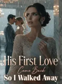 His First Love Came Back , So I Walked Away Novel Cover