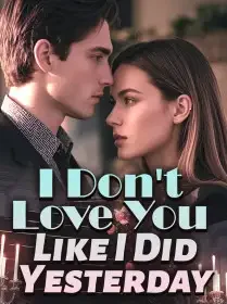 I Don't Love You Like I Did Yesterday Novel Cover
