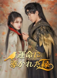 運命に導かれた縁ショートドラマ