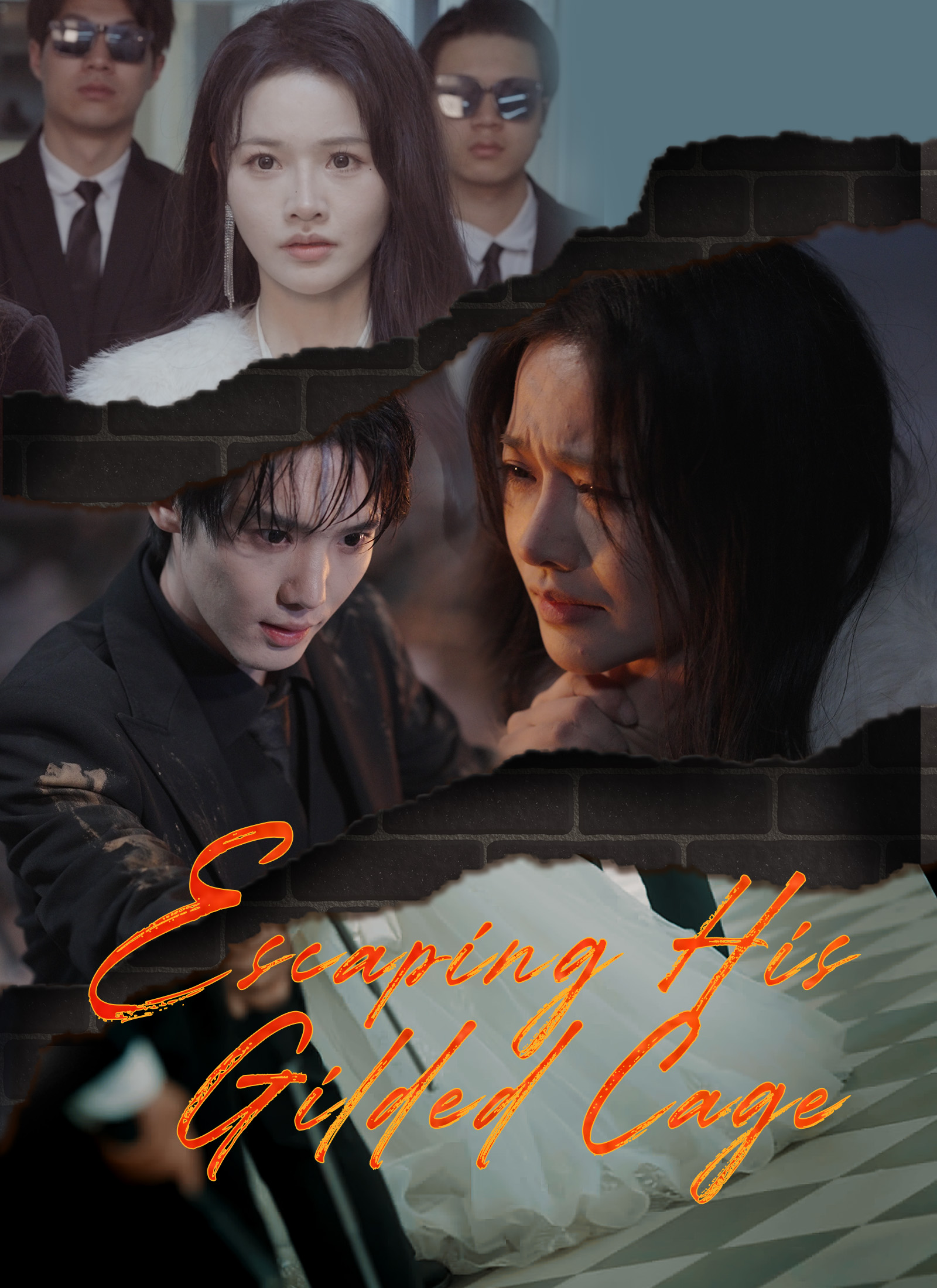 Escaping His Gilded Cage Mini Series