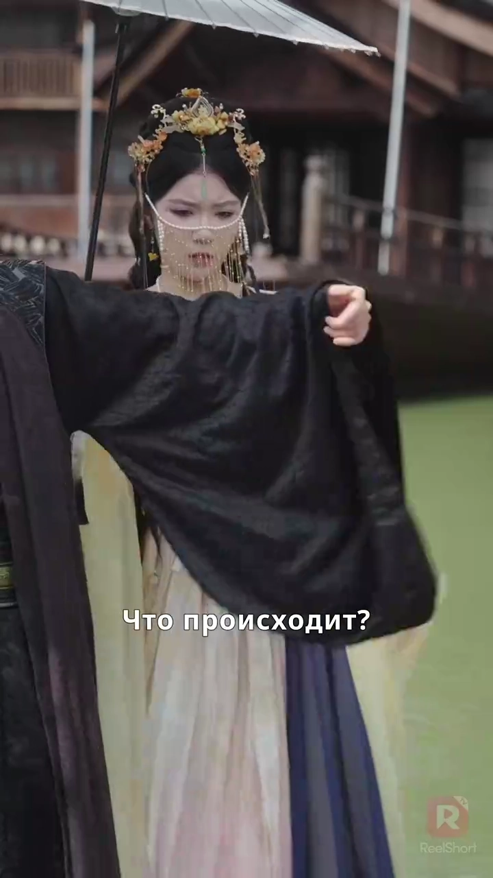 地に伏す武芸者、 天翔ける剣士へ写真