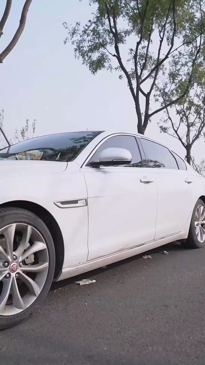 Maître de la chasse au trésorPhoto