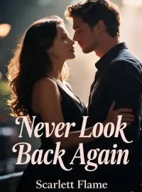 Never Look Back Again Novel Cover
