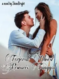Sampul Novel TERJERAT OBSESI PEWARIS TUNGGAL