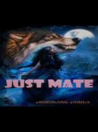 Sampul Novel JUST MATE