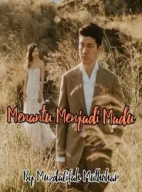 Sampul Novel Menantu Menjadi Madu