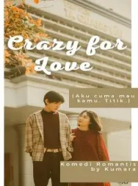 Sampul Novel CRAZY FOR LOVE