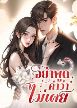 หน้าปกนวนิยาย อย่าพูดคำว่าไม่เคย
