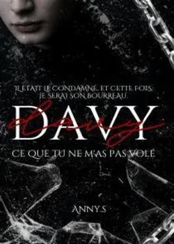 Couverture du roman Davy : Ce que tu ne m'as pas volé