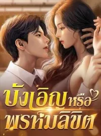 หน้าปกนวนิยาย บังเอิญหรือพรหมลิขิต