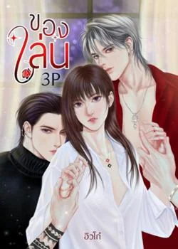 หน้าปกนวนิยาย ของเล่น (3P)
