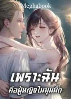 หน้าปกนวนิยาย เพราะฉันคือผู้หญิงในมุมมืด 