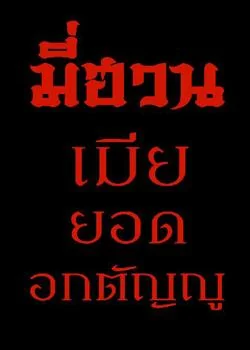 ภาพปกนิยายเรื่อง มี่ฮวน เมียยอดอกตัญญู