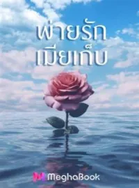 หน้าปกนวนิยาย พ่ายรักเมียเก็บ