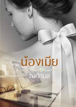 ภาพปกนิยายเรื่อง น้องเมีย