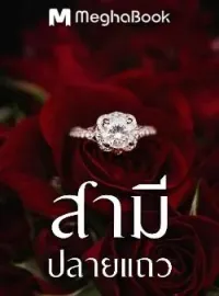 หน้าปกนวนิยาย สามีปลายแถว