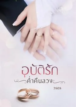 ภาพปกนิยายเรื่อง อุบัติรักค่ำคืนลวง