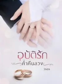 หน้าปกนวนิยาย อุบัติรักค่ำคืนลวง