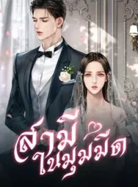 หน้าปกนวนิยาย สามีในมุมมืด