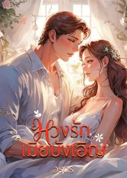 ภาพปกนิยายเรื่อง หวงรักเมียบังเอิญ