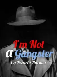 I'm Not a Gangster