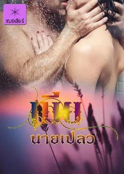 หน้าปกนวนิยาย เมียนายเปลว
