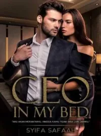 Sampul Novel CEO in My Bed