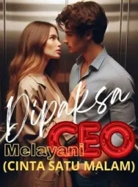 Dipaksa Melayani CEO-Cinta Satu Malam