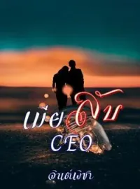 หน้าปกนวนิยาย เมียลับCEO