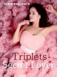 Sampul Novel Triplets Secret Lover