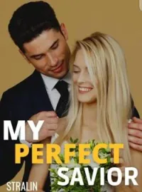 My Perfect Hero