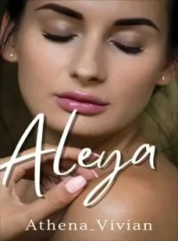 Sampul Novel ALEYA