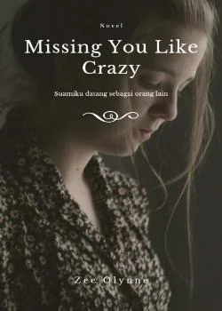 Sampul Novel Missing You Like Crazy