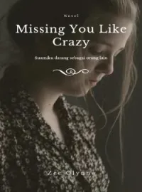 Sampul Novel Missing You Like Crazy