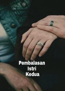 Sampul Novel Pembalasan Istri Kedua